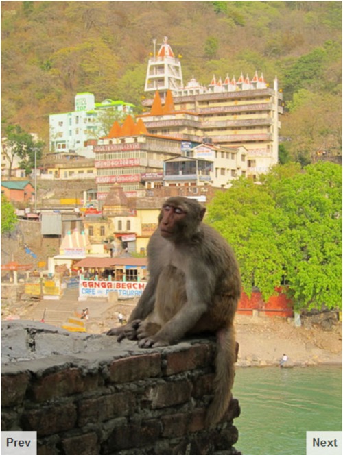 Product picture Responsive Carousel Slideshow with jQuery